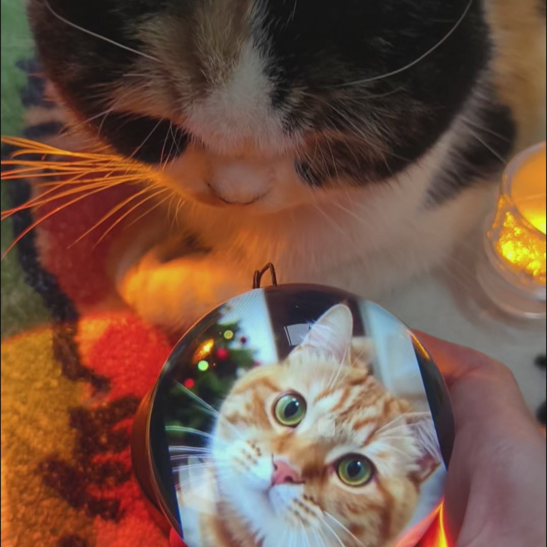 Memory Orb Player-Record any moments you love